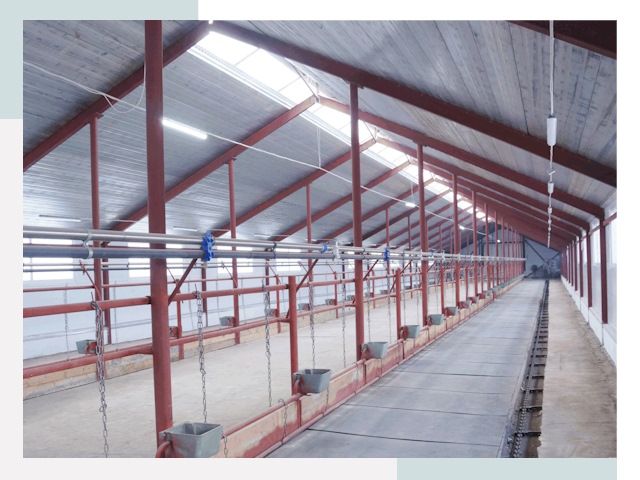 Строительство коровников в Калининграде от 607 руб.