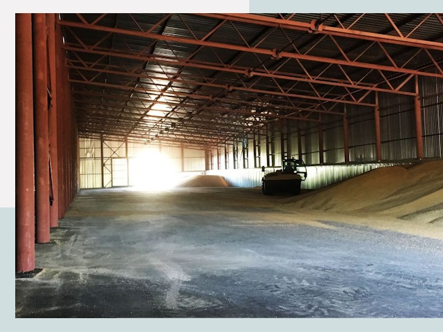 Строительство зернохранилищ в Калининграде